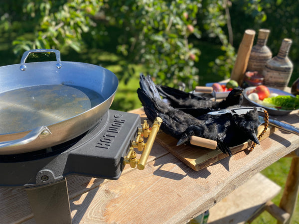 ¿Qué puede cocinar con pájaros como Rooks? 