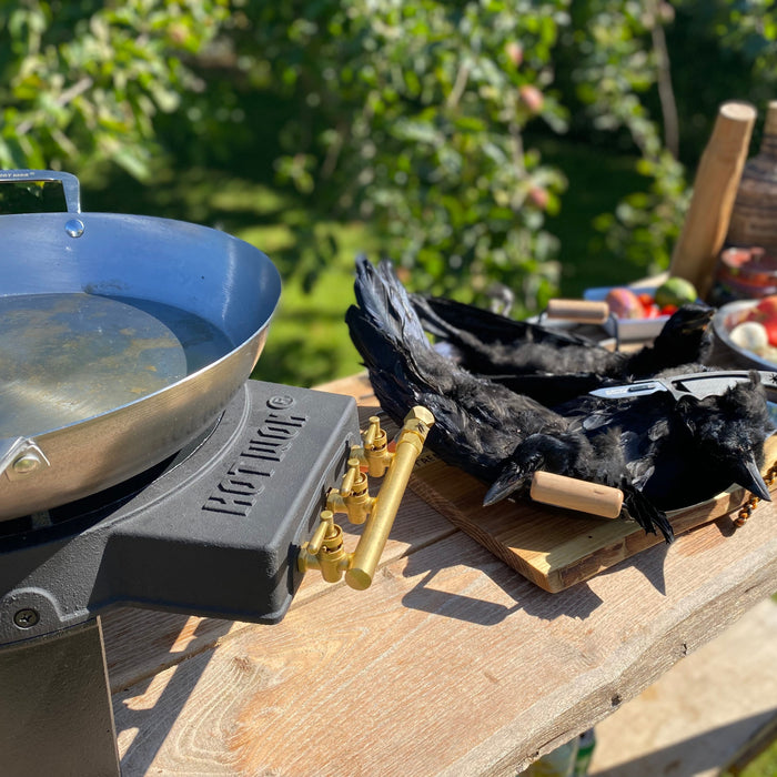 What can you cook with birds like rooks? - HOT WOK